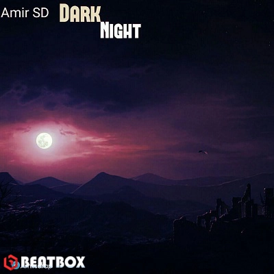 بیت  Dark Night