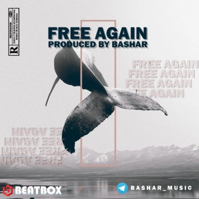 بیت  Free Again