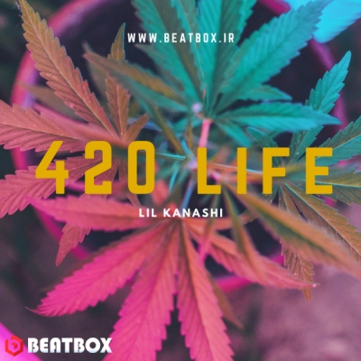 بیت  420Life