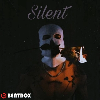 بیت  Silent