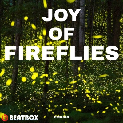 بیت  Joy Of  Fireflies