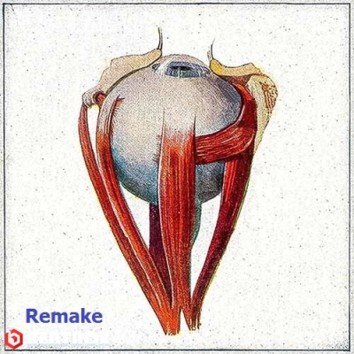 بیت  هیچکس - گریه داره