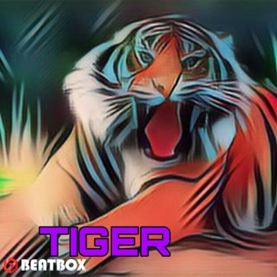 بیت  Tiger