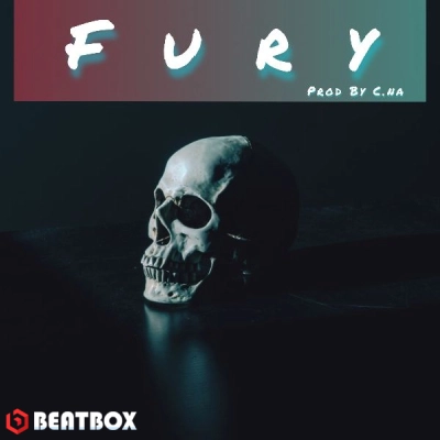 بیت  Fury