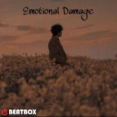 بیت  Emotional Damage