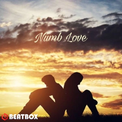 بیت  Numb Love