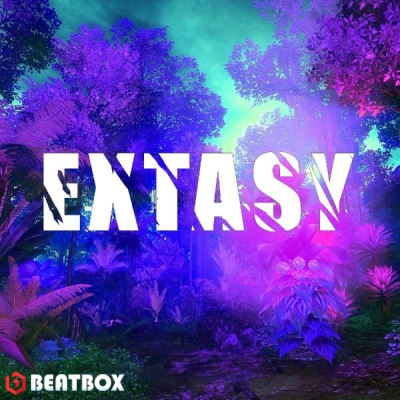 تکست  extasy