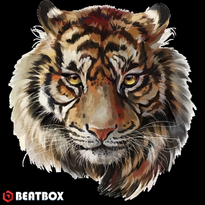 بیت  Tiger