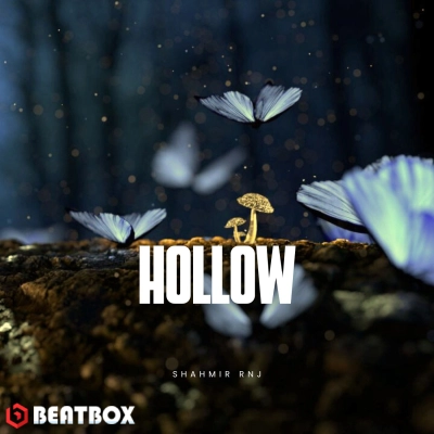 بیت  Hollow