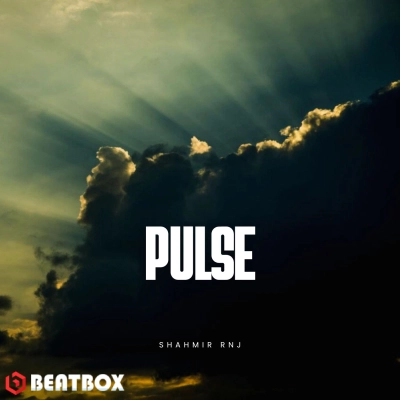 بیت  Pulse
